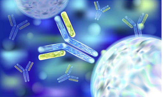 IMMUNOLOGY Section1 Lecture (20251_200232110_AAUP - JENIN)