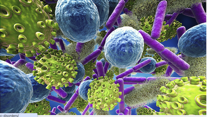 GENERAL MICROBIOLOGY Section1 Lecture (20252_200232120_AAUP - JENIN)